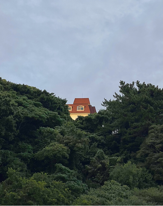 Red-roofed house nestled in forest